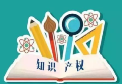 2021-2026年中国知识产权行业发展监测及投资战略规划研究报告
